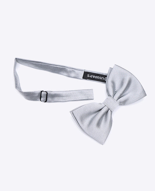 Noeud Papillon XL Gris n°2 Homme en Polyester | Lucien - Unipap's