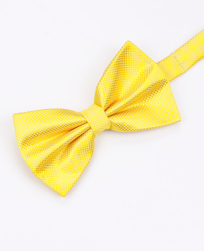 Noeud Papillon Jaune Homme en Polyester | Martin - Unipap's