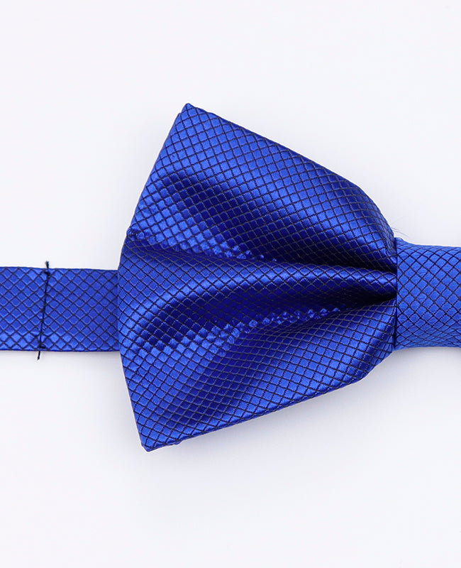 Noeud Papillon Bleu n°2 Homme en Polyester | Martin - Unipap's