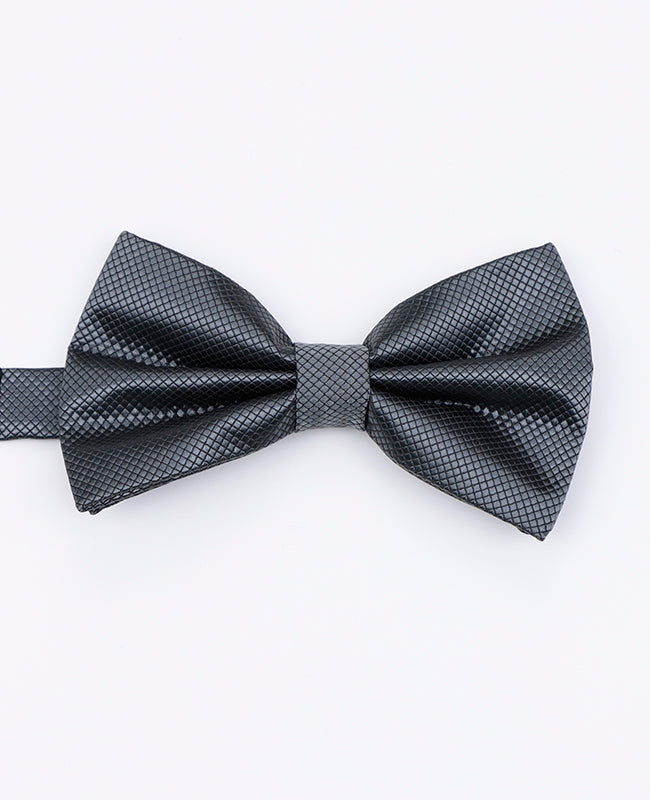 Noeud Papillon Gris n°2 Homme en Polyester | Martin - Unipap's