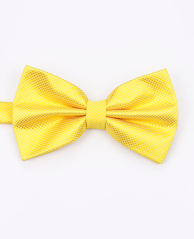 Noeud Papillon Jaune Homme en Polyester | Martin - Unipap's