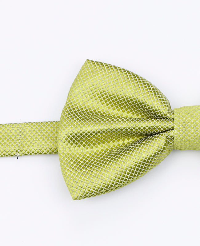 Noeud Papillon Vert n°3 Homme en Polyester | Martin - Unipap's